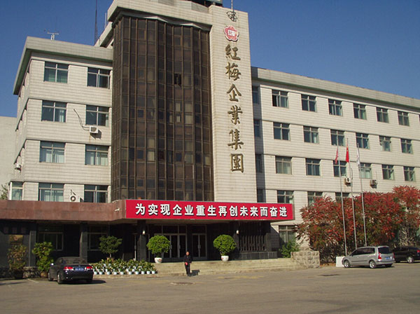 沈陽紅梅集團(tuán)